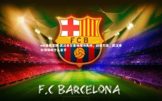 mk体育官网-武汉卓尔客场爆冷失利，战绩欠佳，武汉卓尔球场叫什么名字